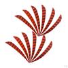12 Pcs Shield Cut Turkey Feather Fletch Fletching Shape