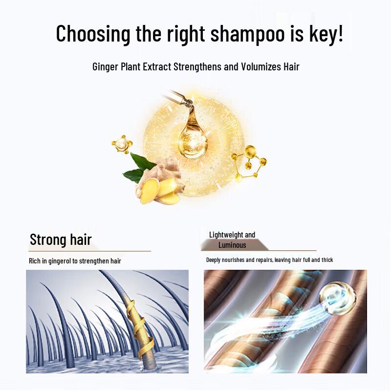 LK Ginger Anti-Breakage Strengthening Shampoo 500g