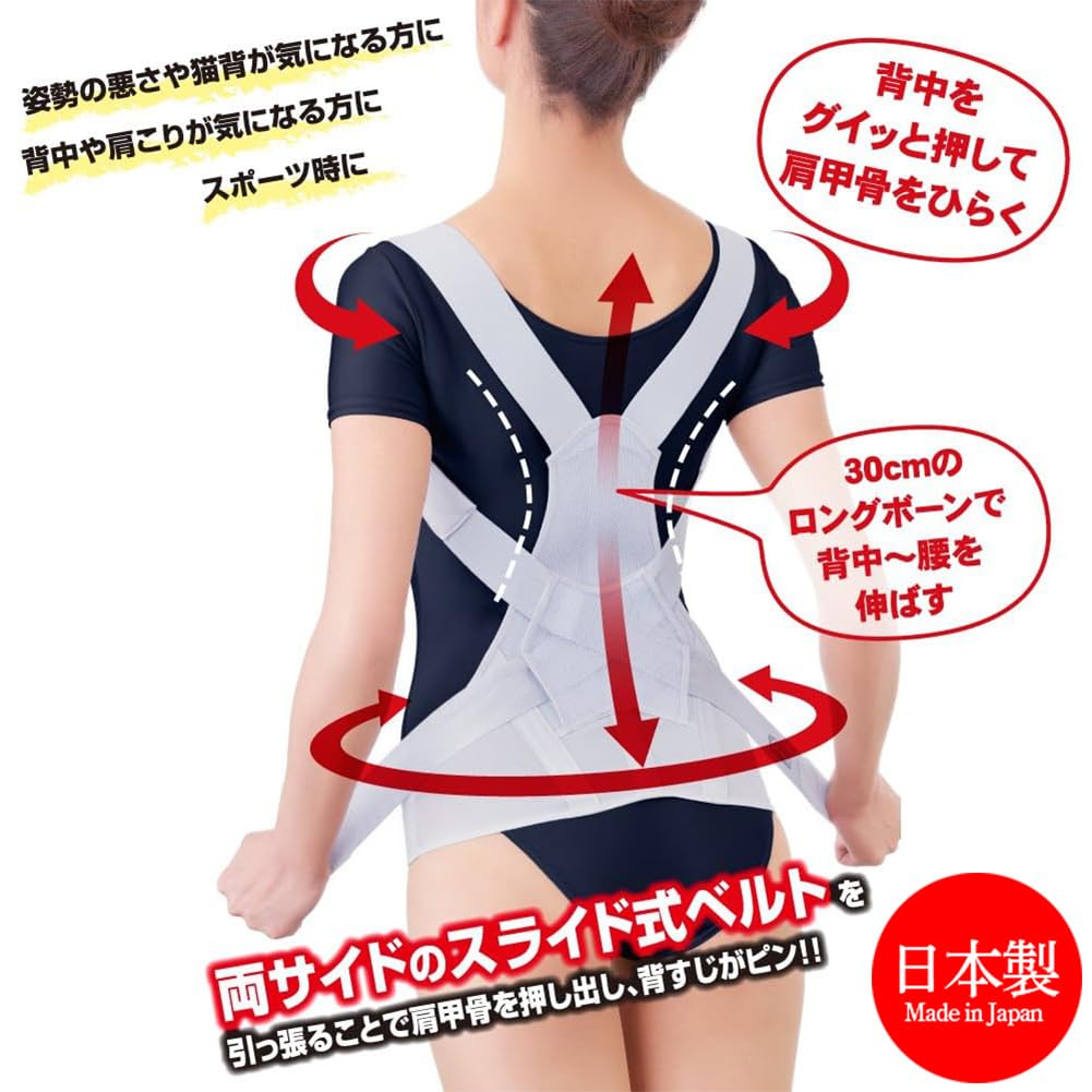 Alphax Haltungsunterstützer, Haltungsgürtel, Rückenstütze, Fester Rückenstützgürtel vom Arzt, M-L, Hergestellt in Japan