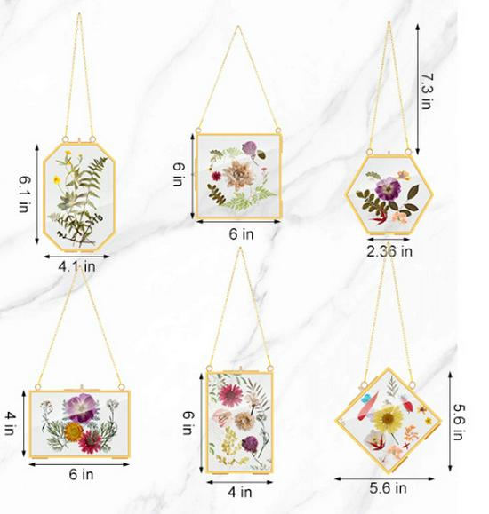 European Vintage Metal Glass Photo Frame: Antique Design for Pictures or Plant Specimens