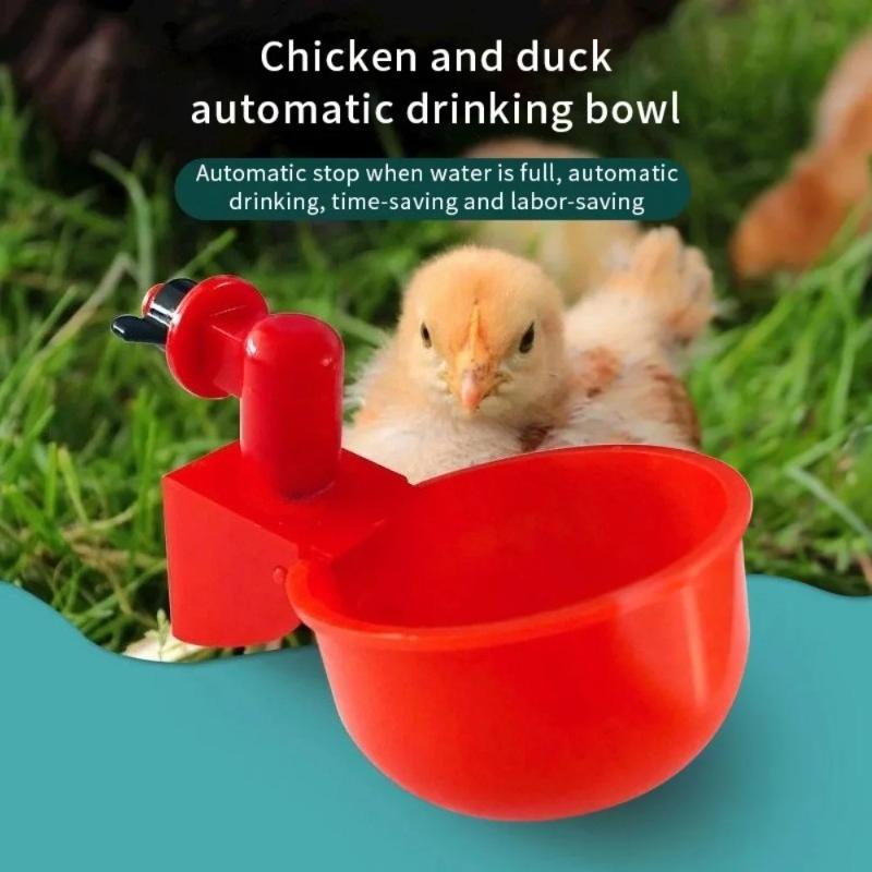 Bevitore automatico per polli, mangiatoia per polli, abbeveratoio in plastica per pollame, mangiatoia per acqua potabile per pulcini, anatre, oche, quaglie