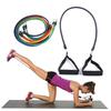 Tube Resistance Bands Kit with Attached Handles Door Anchor Carrying Case and Exercise Guide Training