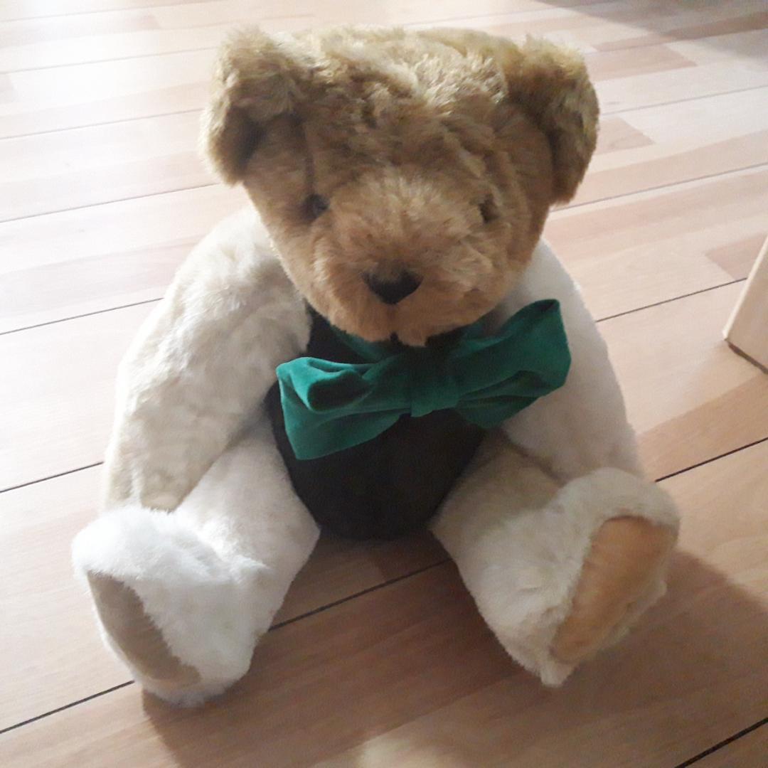 

[USED] Teddy bear owners wanted