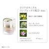 KANEBO The Cream Pink Ochre Eternity Bouquet Pink Ochre 30ml Foundation, B, Scent, B,