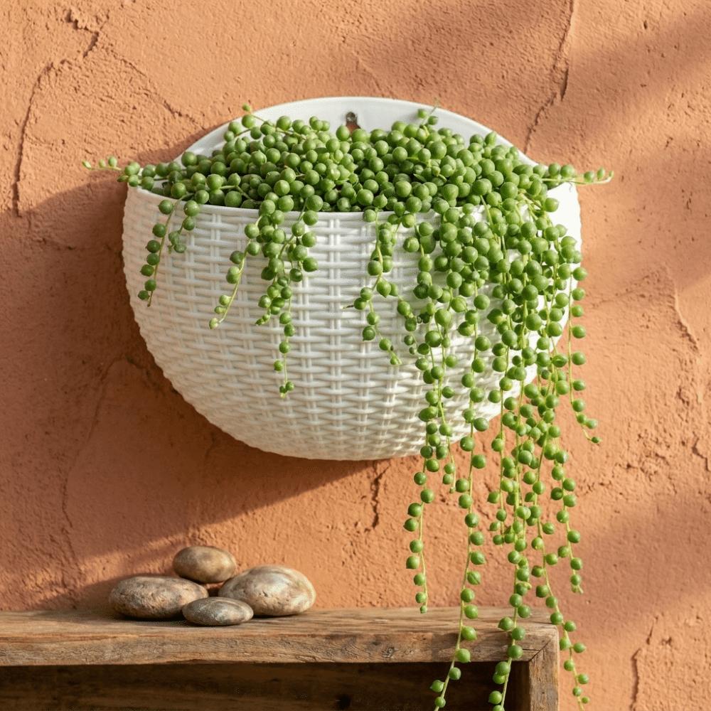 Wear-resistant Wall Hanging Basket Half Round Wall Flower Pot Over Fence Planter Flower Shop