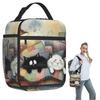 Cartoon Cat In Colour Sofa Pattern Insulated Lunch Bag for Women Children Leakproof Food Boxes Thermal Lunch Box Tote