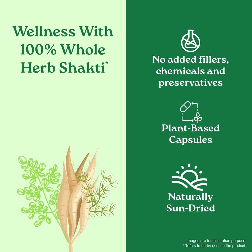 Organic India Osteoseal 60 Capsule Herbal Bone Support Supplement for Strong Bones & Healthy Teeth