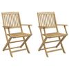 VidaXL Lot de 2 Chaises Pliables de Jardin, Sièges avec Dossier, Meubles de Patio Terrasse Extérieur, Moderne, Bois Massif 365741