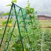 Plant Climbing Net Green Gardening Lattice Net Cucumber Hanging Melon Climbing Net Support Net Chrysanthemum Wind-Resistant Net