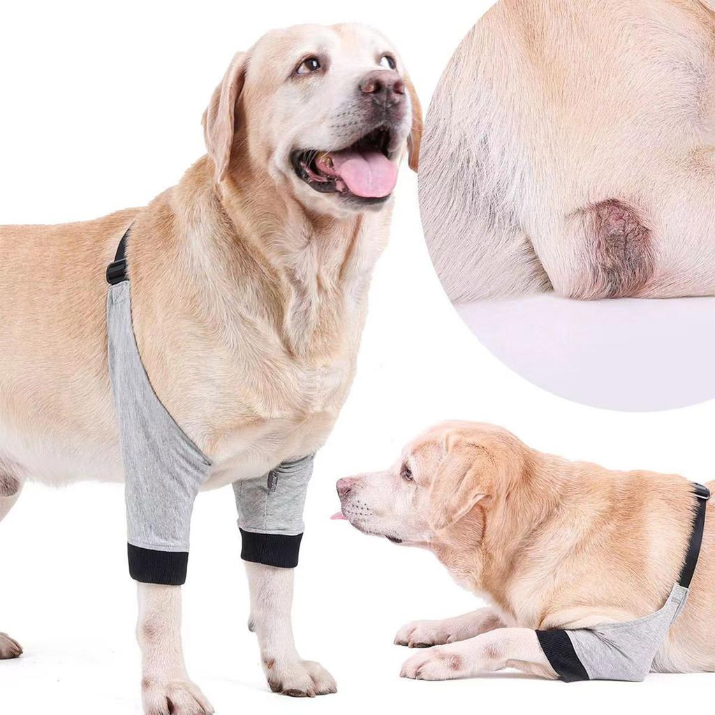 Dog Elbow Brace Supports for Injured Limbs Promotes Comfort Helps Arthritis Against Licking Assists Brace Sleeve