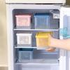 Double-Layer Refrigerator Storage Box Ginger Scallion Onion Containers Sealed Fruits Vegetables Drain Crisper Kitchen Supplies