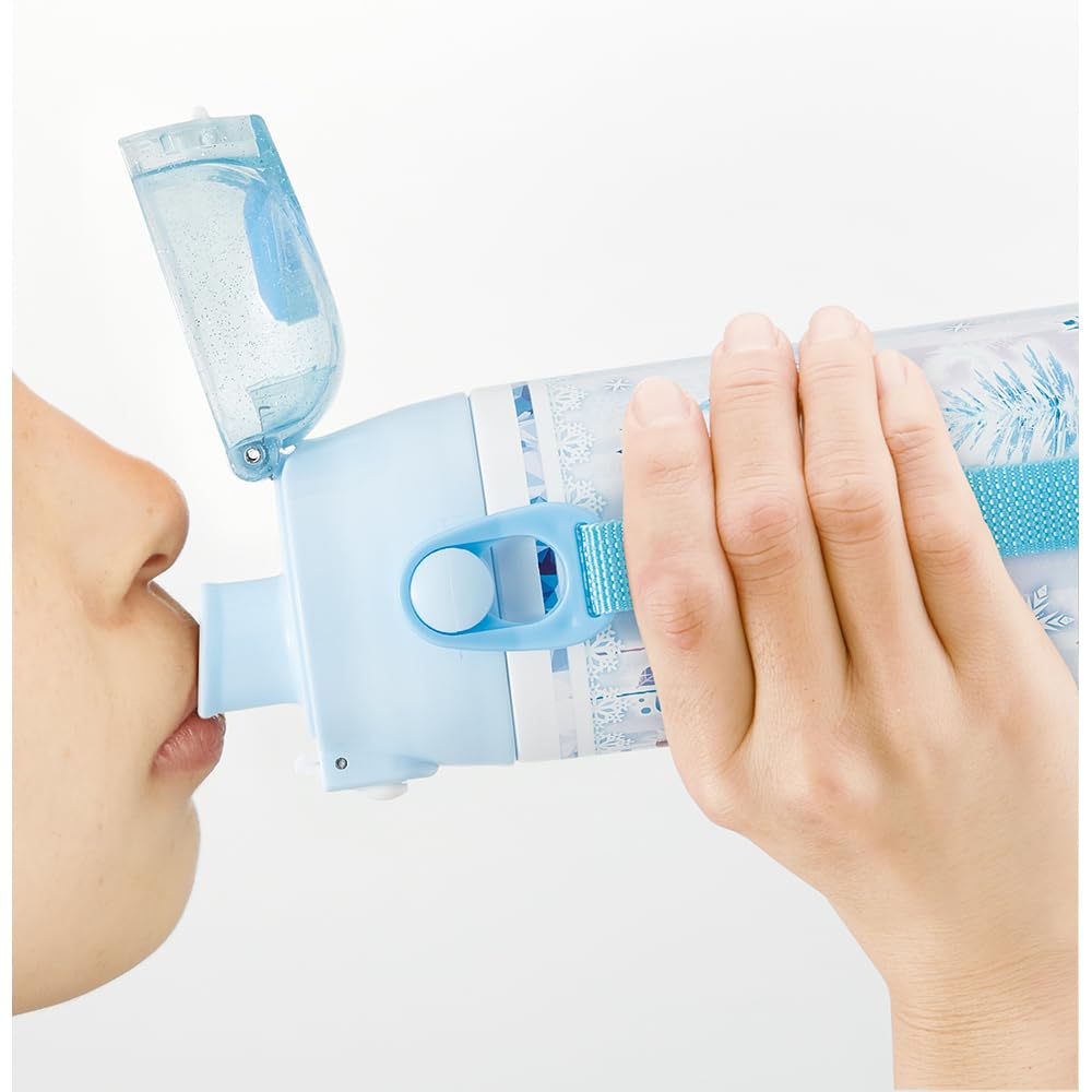 Skater Stainless Steel Water Bottle Direct Drinking 580ml Disney Frozen 24 Lightweight Type Cold Storage Waterbottle Sports Bottle Cool Kids Children