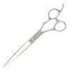 DEEDS GTZ by Japanese Scissors for Professional Hairdressers and Haircutters Scissors, 7.0-inch, Manufacturer,