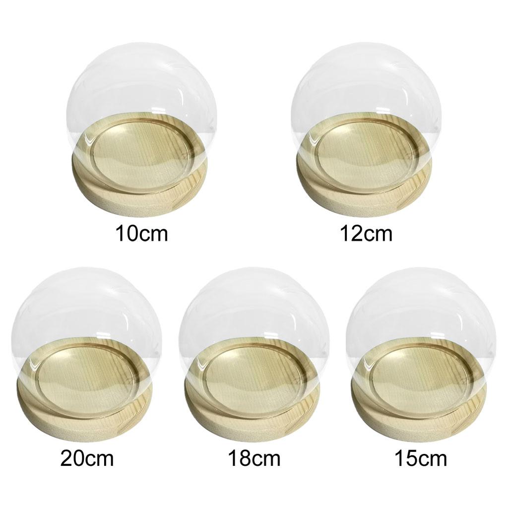 Gläserne Display-Cloche Terrarium Kugelförmige Abdeckung mit Holzsockel