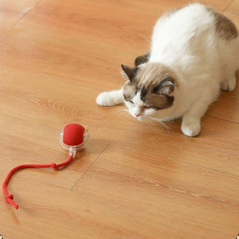 Electric Dog Ball Toy, Interactive Rolling Dog Ball, Interactive Dog Smart Ball Toy, Chewy Virus Rolling Ball, Interactive Cat Ball Toy