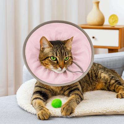 Köpek – Köpek bakım ürünleri