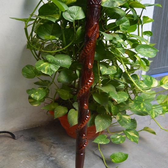 Wooden Carved Eagle Head Snake Climbing On A Tree Shaped Cane Handmade Wood Crafted Comfortable Handle Hand Carved Cane for Man Woman