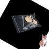Pet Milk Feeder For Newborn Kittens And Puppies Detachable Syringe And Needle Wholesale Pet Supplies Characters)