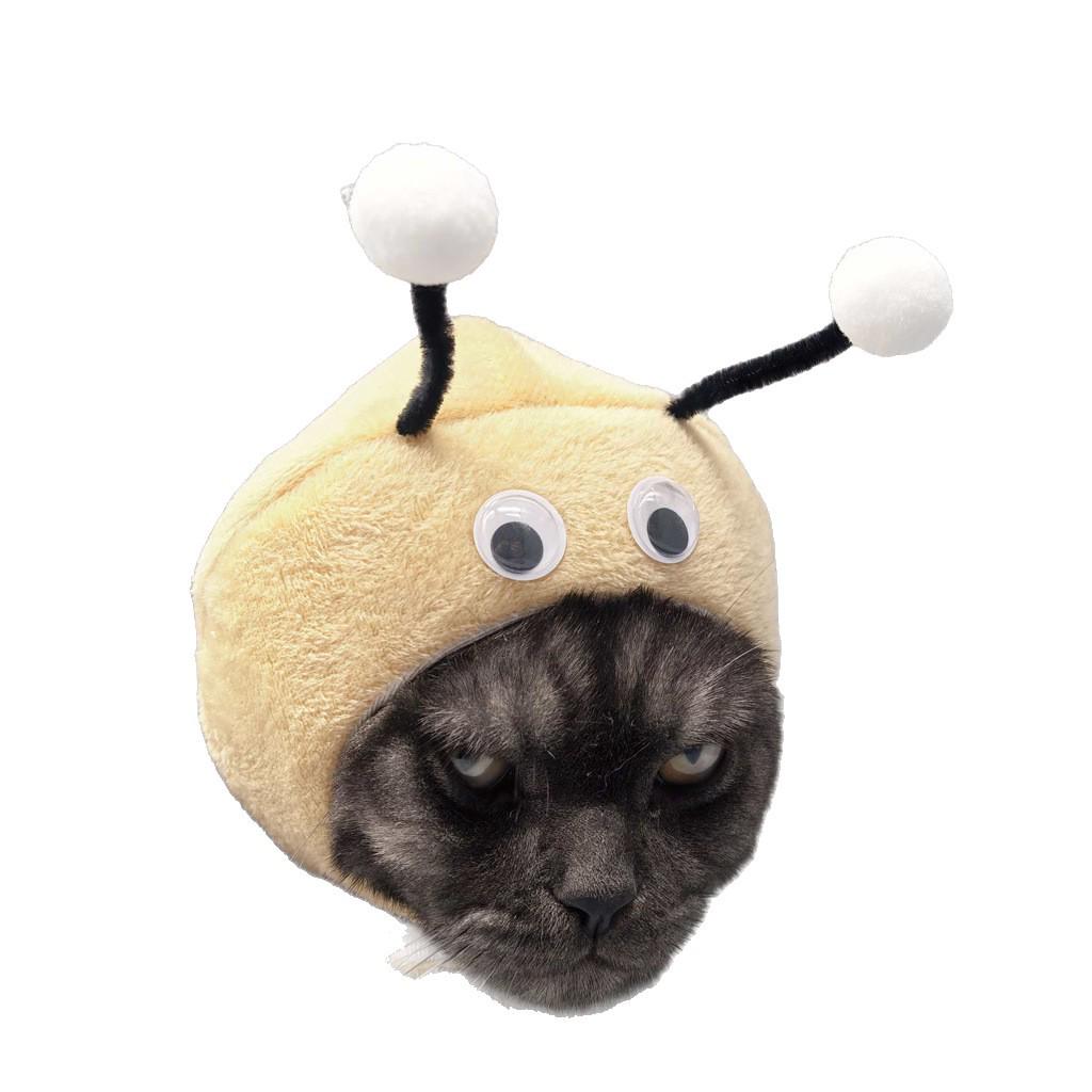 Universal Cute Pet Hat for Photos - Cat & Dog Dress-Up