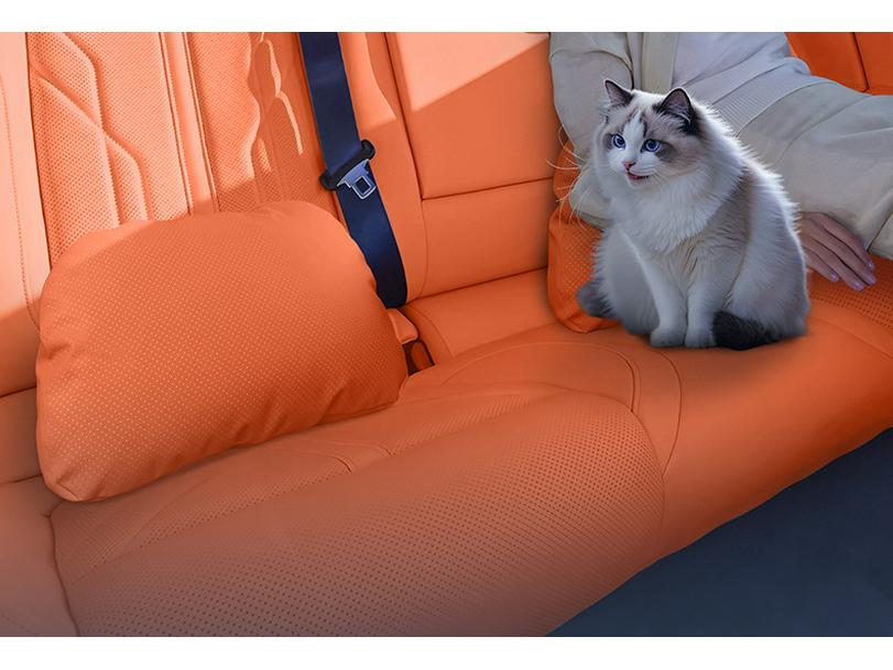 Essential Accessories for Hongqi S9T: Headrest, Lumbar and Neck Support Pillow, Waist Protection, Comprehensive Car Interior Décor