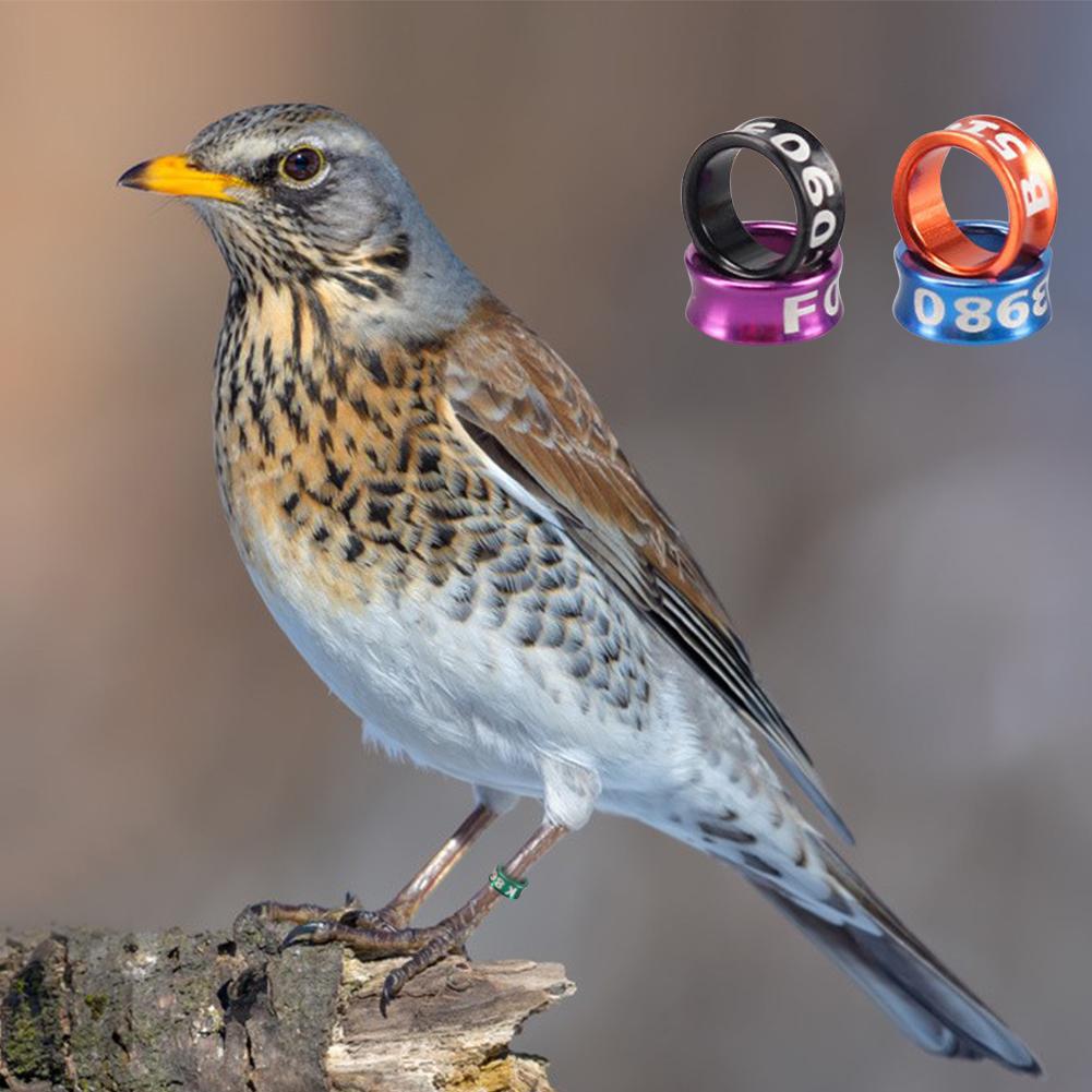 20 Stück 4mm/4.7mm/5mm/6mm Mit nummerierten Aluminium Vogel Tauben Fußring Outdoor Flugtrainingswerkzeug Wettbewerbsidentifikationsetikett