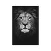 Leões africanos selvagens no escuro, pintura em tela na parede, posteres e impressões, imagens de animais preto e branco, decoração de casa