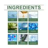 Water quality keratin moisturizing shampoo gentle care for scalp plump hair daily supple care shampoo