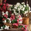 Lifelike Artificial Silk Jasmine Flower Long Stems DIY Simulation Jasmine Beautiful Colorful Fake Flowers