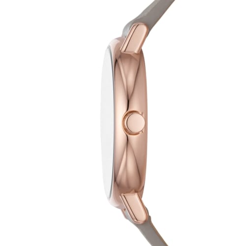 Skagen Signatur Lille SKW3060 Women's Watch, Gray