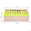 Wood Montessori Sorting Toys Kit Learning Category Matching