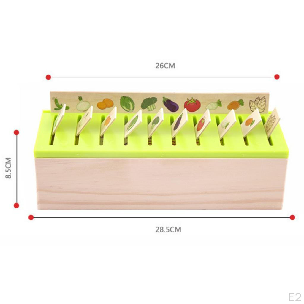 Wood Montessori Sorting Toys Kit Learning Category Matching