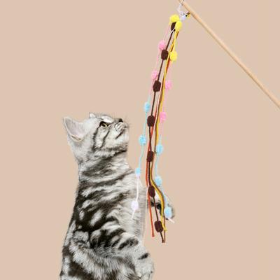 Katter – Kattleksaker