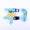 New Cartoon Doll H-Shaped Cat Harness and Dog Leash Set