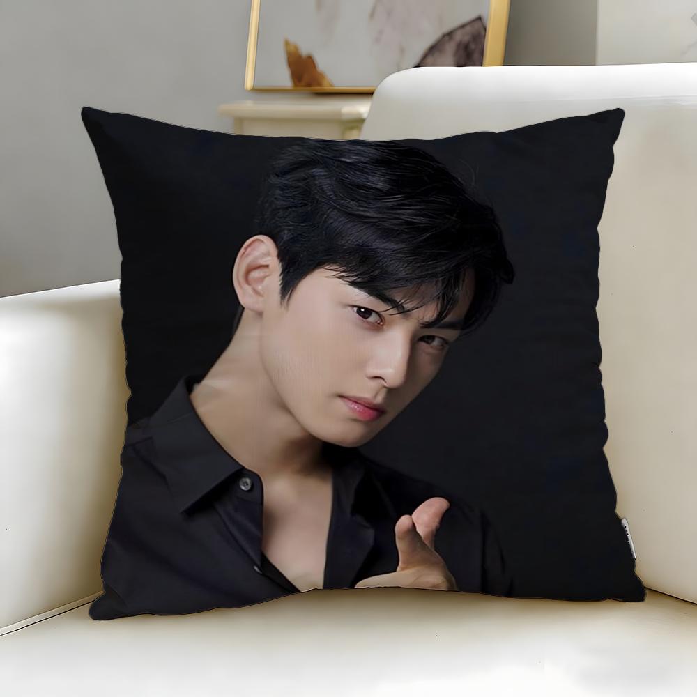 popular actor Cha Eun Woo Cushion Cover Soft  EasyWash Pillow Case  Versatile for Couch Bed Travel and Office