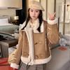 Short Locomotive Fur Integrated Winter Lamb Coat Imitation Fur Autumn and Winter New Thickened Coat