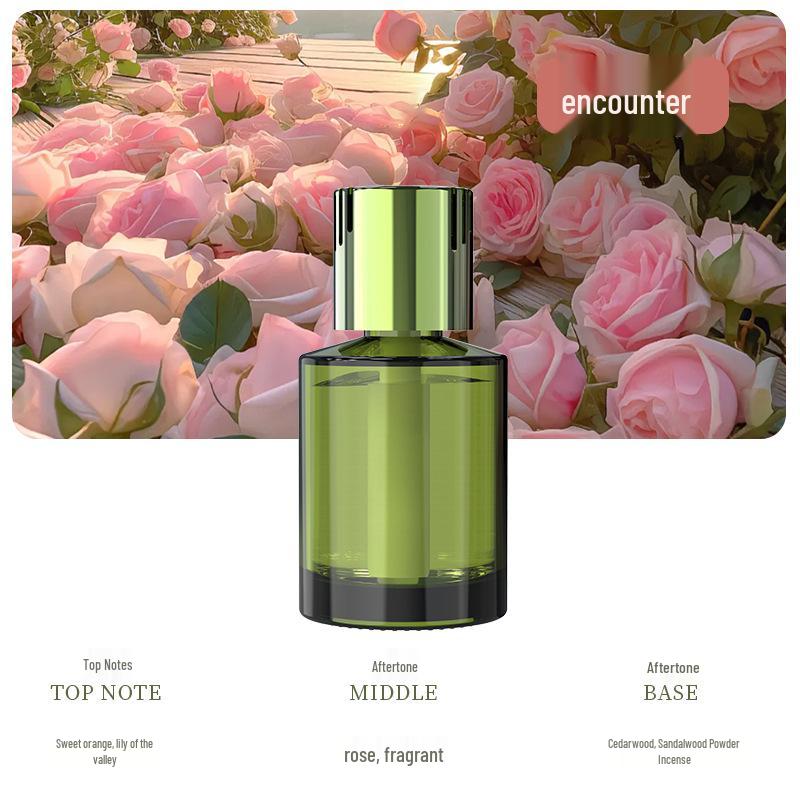 Long-Lasting Car Air Freshener and Odor Remover for Bedroom and Hotel