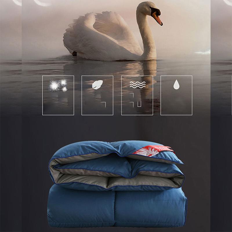 Winter White Goose Down Duvet Thickened Warmth Double Quilt Single Dormitory Quilt Large Soft and Comfortable Duvet