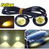 S.fields.inc Cow Eye Black Frame White Light Round Daylight Bolt