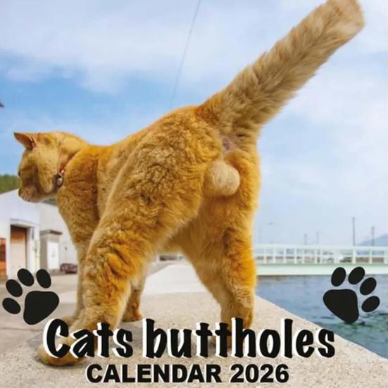 2026 Cat Ball Calendar Jan.2026 - Dec.2026 12 Monthly Wall Calendar with Hilarious Feline Moments Gag Gift for Cat Lovers