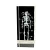 3D Carved Skeleton Brain Model Ornament - White Crystal Souvenir for Medical Students and Doctors