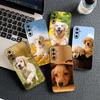 Golden Retriever Dog Phone Cover Soft Case for Samsung Galaxy S25 S24 S23 FE Ultra Plus S7 Edge S25+ S23+ A56 5G Casing