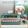 Automatic Eggs Turner Poultry Incubator Machine With External Water Refill And Easy Observation for Household Hatchery