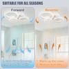White Minimalist Modern Ceiling Fan with Light for Living Room or Bedroom