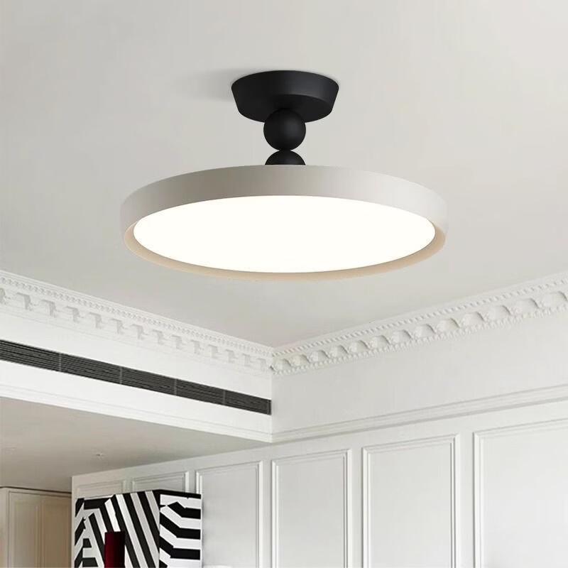 Vintage Style Eye Protection Ceiling Lamp