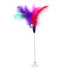Funny Pet Cat Feather Bell Spring Suction Cup Elastic Playing Interactive Toy