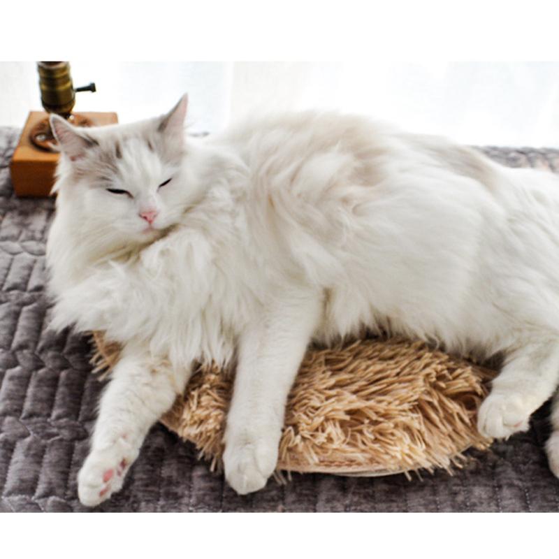 Pet Electric Heating Pad Waterproof Anti-scratch Constant Temperature Electric Blanket For Dogs Cats