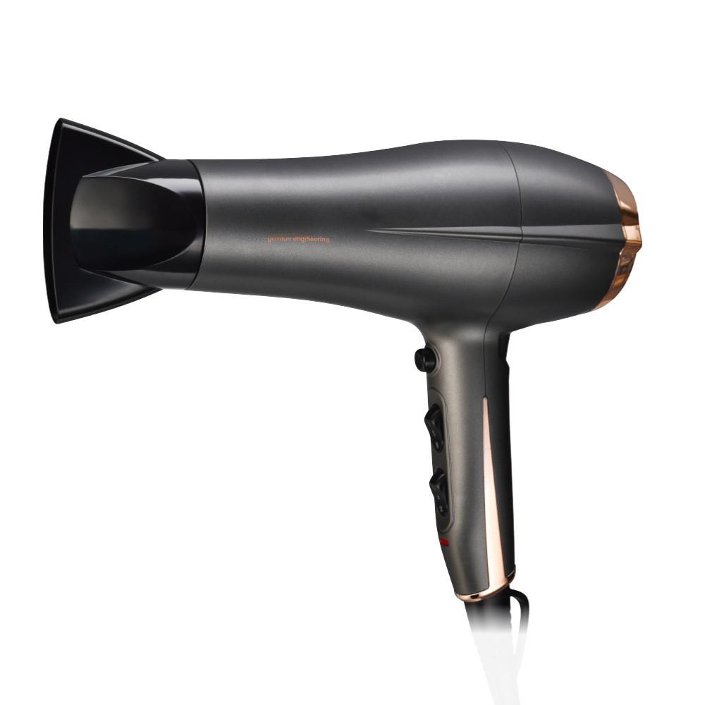 2200W 2 Speed Household High Power Electric Hair Dryer Adjustable Hair Salon Professional Blow Dryer
