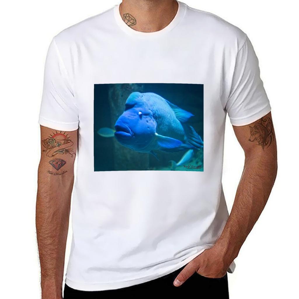 Animal Portrait - Maori Wrasse (1) T-shirt T Shirts For Man Slim Fit Funny T Shirts Man Funny T Shirts Cotton T-shirt
