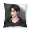 Pillow Case Huang Xing Eliot Huang DDesire Comfy Pillow Cover For Office Car Home Decor Morden Pillowcases