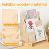 Greeting Card Display Stand Brochure Holder 3 Tier Business for Postcards